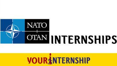 NATO Internship