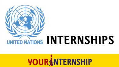 UN Internship