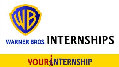 Warner Bros Internship